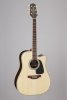 Takamine GD51CE-NAT Gitara elektro-akustyczna 